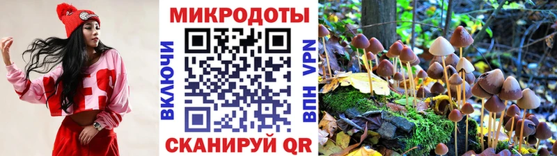 Псилоцибиновые грибы MAGIC MUSHROOMS  Туран 